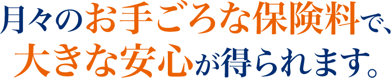 月々のお手ごろな保険料で、大きな安心が得られます。